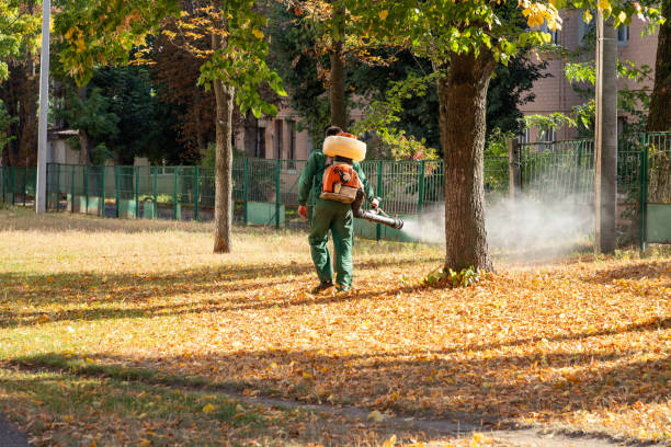 Pest Control Cost in Marseilles, IL